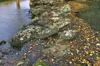 Cjp_2009_10_29_153307 (1)_HDR-D1.jpg